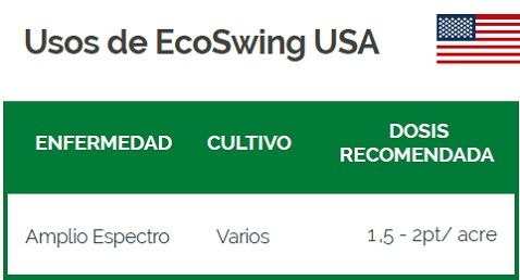 eco-swing-usa.jpg?1565451651951