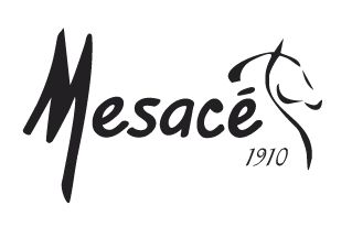 Mesacé