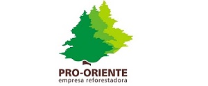 Pro-Oriente