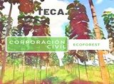 Corporación Ecoforest