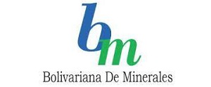 Bolivariana de Minerales