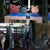 Equipo de Ordeño Fijo Descarga a Cantina de 1 a 3 Puestos -  Maquinas de Ordeño