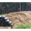 Silo Forraje de Maíz 25% Sabana -  Alimento para ganado