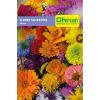 Semilla de Flores Silvestres Mezcla -  Plantas Ornamentales