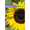 Semilla de Girasol Flor Gigante -  Plantas Ornamentales