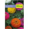 Semilla de Zinnia Iliput Enana -  Plantas Ornamentales