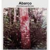 Semilla de Abarco -  Semillas de Arboles