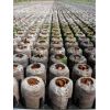 Jiffy Pellet -  Sustrato para Plantas