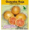 semilla de Guayaba Roja -  Semillas de Frutales