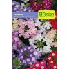 semilla de Verbena Flor Grande -  Plantas Ornamentales