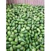 Aguacate Criollo -  Productos agrícolas
