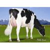 Holstein Meridian -  Genética Bovina Línea Leche