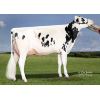 Holstein Byway -  Genética Bovina Línea Leche