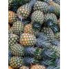 Piña -  Productos agrícolas