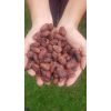 Chocolate de Mesa -  Snacks