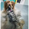 Servicio de Peluquería Canina y Felina -  Peluquería canina