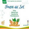 Pulpas Refrescantes -  Frutas y verduras procesadas