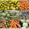 Línea Fruver -  Productos empacados