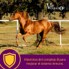 RED CELL -  Comida caballos