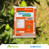 Permaxion Aguacate Producción -  Abonos y Fertilizantes