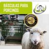 Báscula para Ovinos -  Básculas y Balanzas