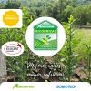 Micorrizas - inoculante biológico -  Bioestimulantes y Enraizantes