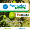 Permaxion Aguacate Producción -  Abonos y Fertilizantes