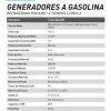 Generador Electrónico Toyama 3.0 KVA -  Plantas eléctricas