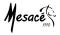 Mesacé SA