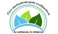 Cooperativa SachaAntioquia Multiactiva