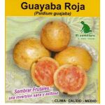 semilla de Guayaba Roja -  Semillas de Frutales