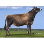 Semen Toro Holstein Suizo Jx Clearcut-3 en  Agrofertas®