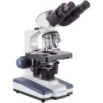 Microscópio Compuesto Binocular Amscope / 40X-2500X en  Agrofertas®
