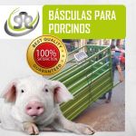 Báscula para Porcinos -  Básculas y Balanzas