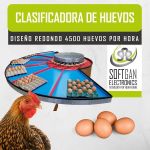 Clasificadora de Huevos -  Clasificadoras y Selectoras