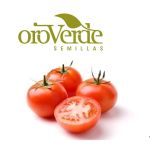 Semilla de Tomate Santa Clara -  Semillas de hortalizas