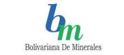 Bolivariana de Minerales
