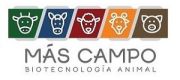 Más Campo Biotecnología Animal