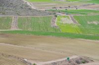 PH de Suelos agricolas segun cultivo