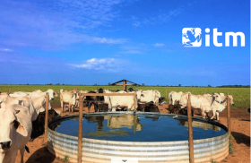 Bebederos para ganado -  Implementos para ganadería