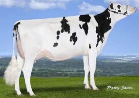 Semen Toros Holstein Suizo Fabulous en  Agrofertas®