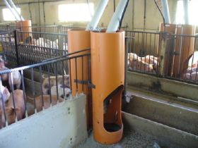 Sistema de dosificacion para Levante y Ceba -  Comederos para cerdos