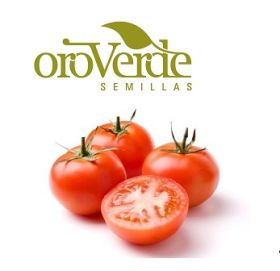 Semilla de Tomate Santa Clara -  Semillas de hortalizas