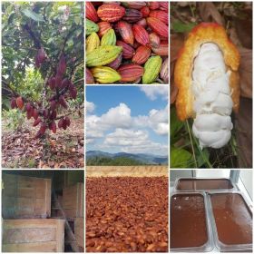 Nibs de Cacao en  Agrofertas®