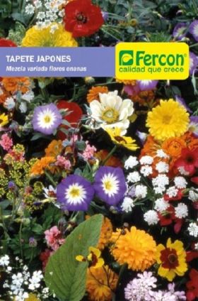 semilla de Tapete Japones Flor Enana -  Plantas Ornamentales