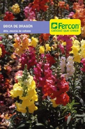 Semilla de Boca de Dragón Mezcla de Colores -  Plantas Ornamentales