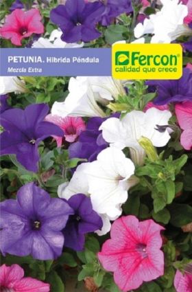 Semilla de Petunia Híbrida Mezcla -  Plantas Ornamentales