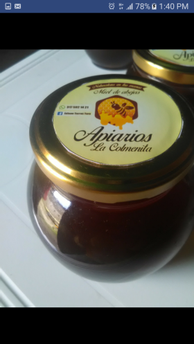 Miel de abejas -  Productos Apícolas