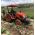 Tractor Kioti CK4010 -  Tractores agrícolas