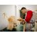 Peluquería para perros -  Peluquería canina